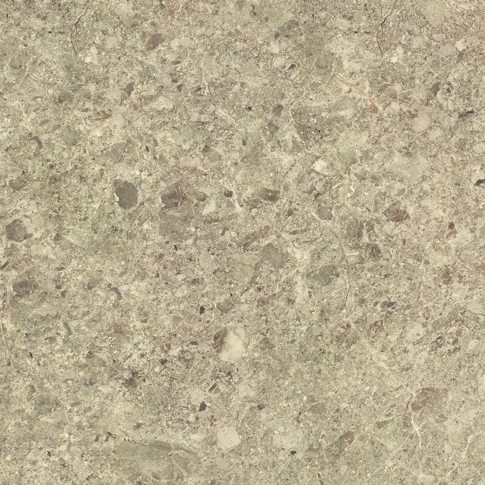 PLATINUM 50X50 DALLAS BROWN